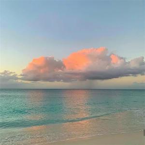 四个黑人玩一个中国人456
