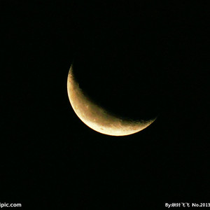 四个黑人玩一个中国人456
